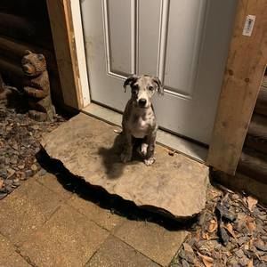 Meet your Posher, Sheila